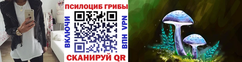 где купить наркотик  Красновишерск  Псилоцибиновые грибы мицелий 